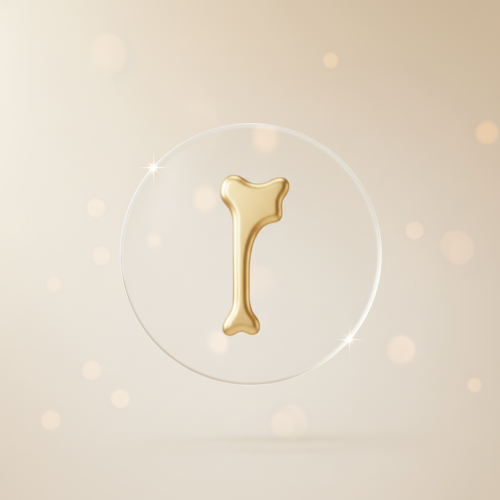 X-Ray – Femur