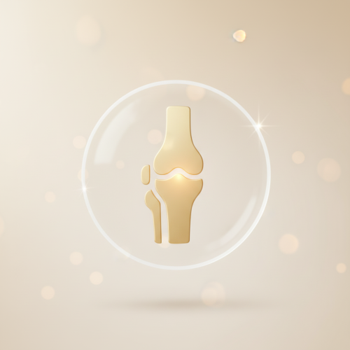 Knee Ultrasound Scan