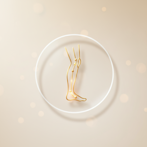 Peripheral Arterial Doppler + ABPI Scan