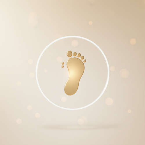 X-Ray – Toe