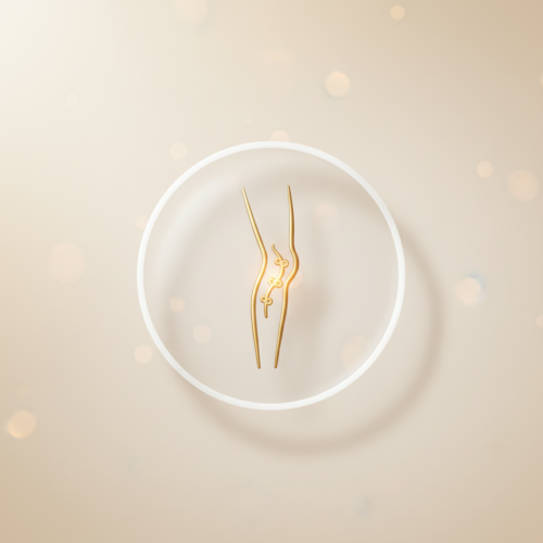 Varicose Vein Ultrasound Scan