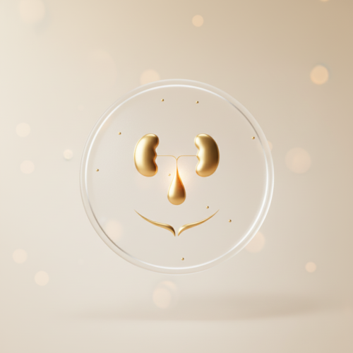 Kidney & Urinary Tract Ultrasound Scan (Women)