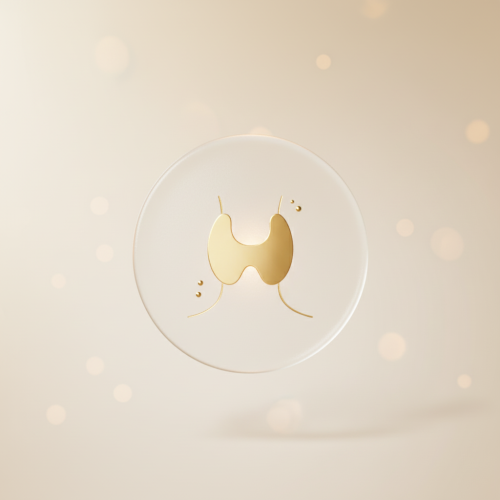 Thyroid / Neck Ultrasound Scan