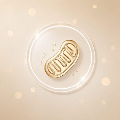 The Mitochondrial Assessment